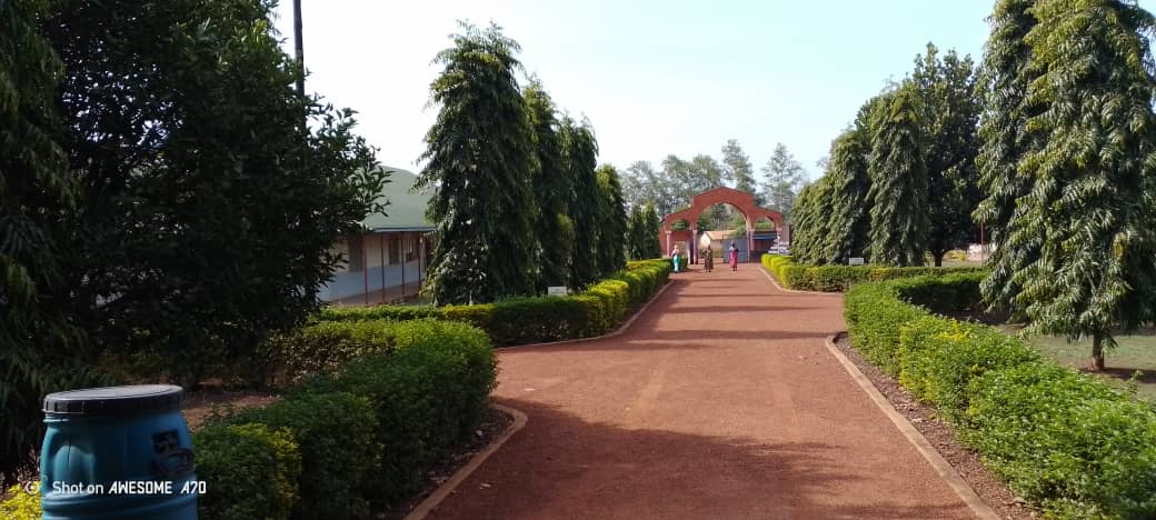 Nursing students in simulation lab